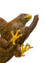 Deepsea eagle attacking on white background close up