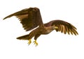 Deepsea eagle flying on white background Royalty Free Stock Photo