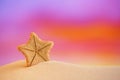 Deepwater rare starfish with ocean, beach and seascape