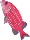 Deepwater Squirrelfish Illustration