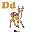 D for Deer