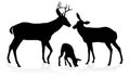 Deer Family Silhouettes