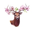 Deer animal head with pink apple, spring cherry flowers, flowering sakura in horns. Watercolor