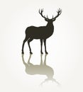 Deer animal silhouette