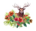 Deer animal, winter flowers, fir tree, mistletoe. Watercolor for christmas card