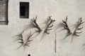 Deer antlers on building wall Royalty Free Stock Photo