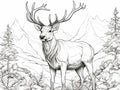 Deer with antlers, coloring book. Black and white illustration of an animal in its natural environment. Sketch of a deer Royalty Free Stock Photo