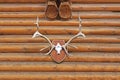 Deer antlers hanging on a wooden wall Royalty Free Stock Photo