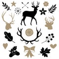 Deer and antlers, head of deer`s, natural elements as leaves and branch
