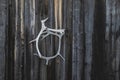 Deer antlers on house exterior Royalty Free Stock Photo