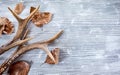 Deer antlers with leaves on wooden background Royalty Free Stock Photo