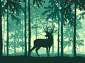 Deer with antlers posing, forest background, silhouettes of trees. Royalty Free Stock Photo