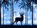 Deer with antlers posing, forest background, silhouettes of trees. Magical misty landscape. Royalty Free Stock Photo