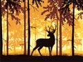 Deer with antlers posing, forest background, silhouettes of trees. Royalty Free Stock Photo