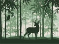 Deer with antlers posing, forest background, silhouettes of trees. Magical misty landscape. Royalty Free Stock Photo