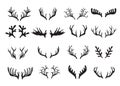 Deer antlers set isolated on white background. Royalty Free Stock Photo