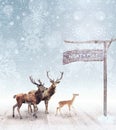 Deer arriving at the north pole