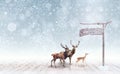 Deer arriving at the north pole