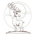 Deer. Artiodactyla mammals. Illustrations for gaming applications design for teaching aids