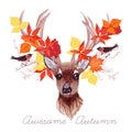 Deer, autumn leaves and bullfinches vector design Royalty Free Stock Photo