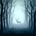 Deer In Autumn Misty Forest Background