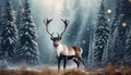 Deer with big antlers in winter snowy forest. Wild animal Royalty Free Stock Photo