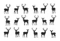 Deer black silhouettes vector set. Herbivorous hoofed spotted forest species elegant nature symbol free creature animal Royalty Free Stock Photo