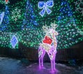 Deer with bright lights and decorated fir.