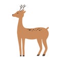 Deer brown vector illustration. Wild animal. Christmas symbol