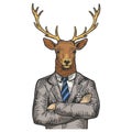 Deer businessman color sketch engraving vector