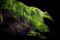 Deer cave in Gunung Mulu