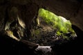 Deer cave in gunung mulu national park Royalty Free Stock Photo