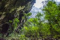 Deer Cave Mulu National Park Borneo