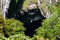 Deer Cave - Mulu National Park - Borneo Royalty Free Stock Photo