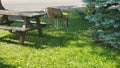 A deer checking out the picnic area Royalty Free Stock Photo