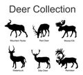 Deer collection vector silhouette illustration isolated on white background. Mountain nyala antelope. Moose elk. Reindeer buck. Royalty Free Stock Photo