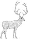 Deer coloring book vector for adults Royalty Free Stock Photo