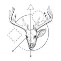 Deer Vector hand drawn head skull and face illustration on white background with geometric triangle, circle, rectangle Royalty Free Stock Photo