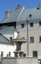 The deer in the courtyard of castle Cerveny Kamen, Slovakia Royalty Free Stock Photo