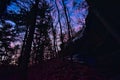 A Colorful Sunset through the Trees with a Crescent Moon at Deer Cove