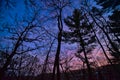 A Colorful Sunset through the Trees with a Crescent Moon at Deer Cove