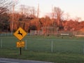 Deer crossing sign with vehicle collision stats Royalty Free Stock Photo