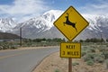 Deer Crossing Warning Sign Along Rural Road Royalty Free Stock Photo