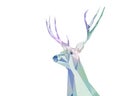 Deer Royalty Free Stock Photo