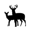 Deer with doe, mammals, wild animals, wildlife, vector, illustration in black color, isolated on white Royalty Free Stock Photo