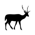 Deer, doe, wild animal with horns, antlers, wildlife, vector, illustration in black color, isolated on white background Royalty Free Stock Photo