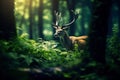 deer in a dreamy green forest scene Royalty Free Stock Photo