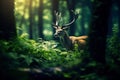 deer in a dreamy green forest scene