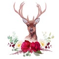 Deer and elegant autumn horizontal floral bouquet vector design objects