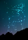 Deer and elk constellation vector art. Elk in constellations and star on night sky and forest landscape. Starry elk or
